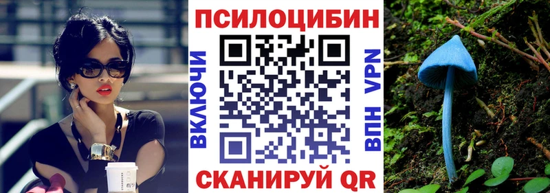 Галлюциногенные грибы прущие грибы  Тобольск 